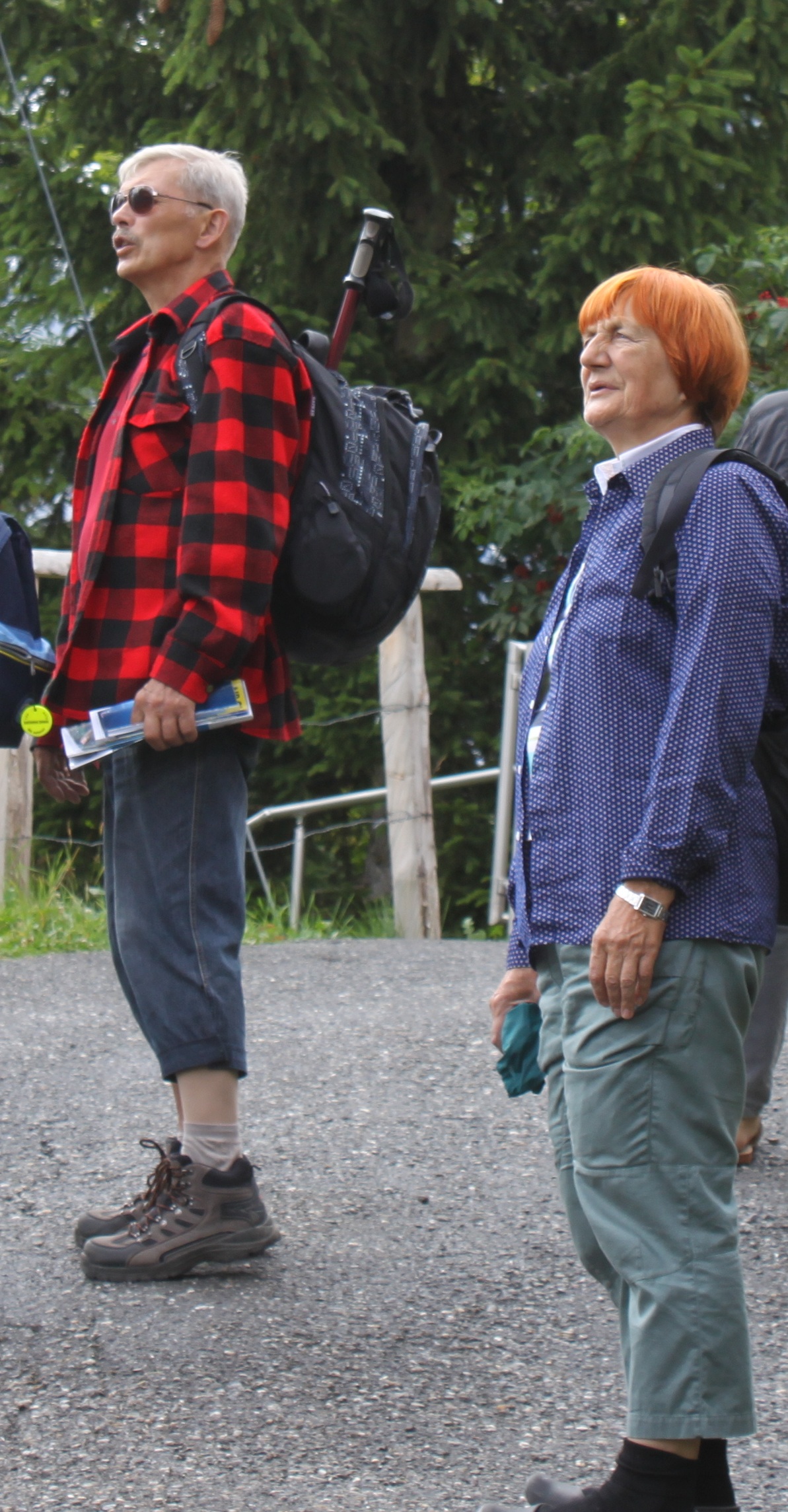 Aurelija-Arūnas Alpės-2010.jpg