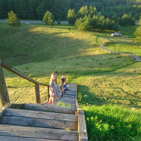 Liesėnų piliakalnio laiptai 2017-07-30.jpg