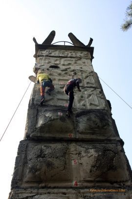 IMG 3148 1.jpg