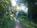 Aukštųjų Šančių piliakalnis 0202.jpg