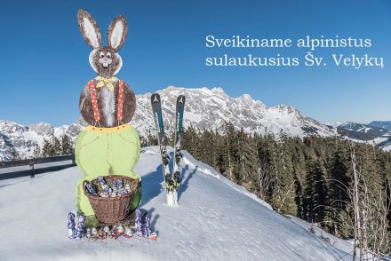 Osternest Hochkoenig.jpg