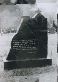 Radis-3.jpg
